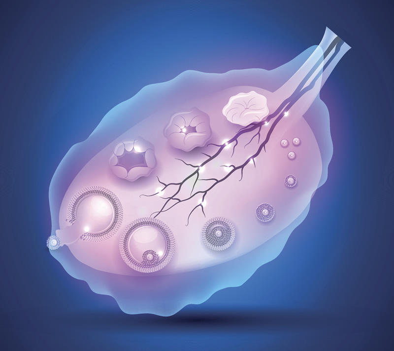 江苏省哪家医院做试管婴儿比较好？江苏哪里试管婴儿做的比较成功？